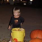 Payton - up to her armpits in pumpkin goooo